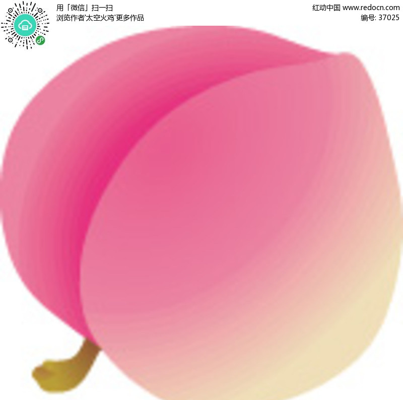 桃子-蔬菜水果矢量图下载(编号:37025)
