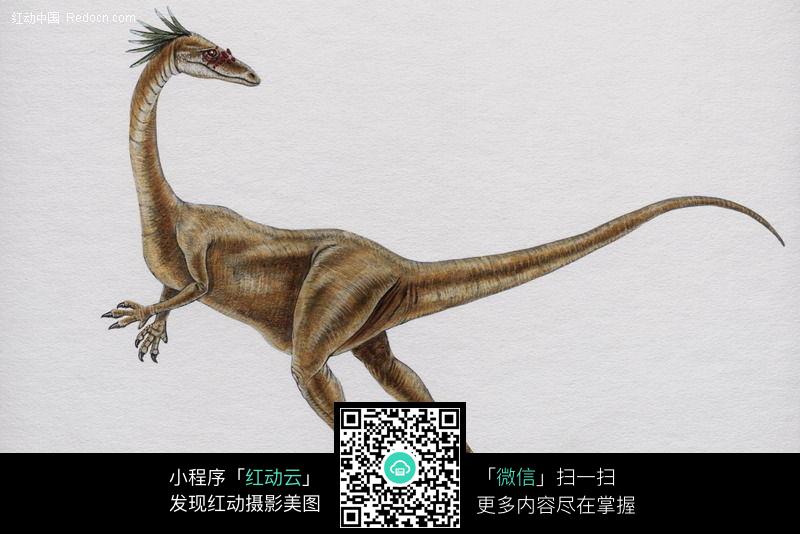 恐龙79图片(编号:73060)_动物_漫画插画