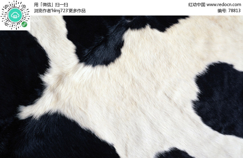 熊猫毛皮-3d材质库下载 3d贴图素材下载 3D材质贴图免费下载(编号:78813)