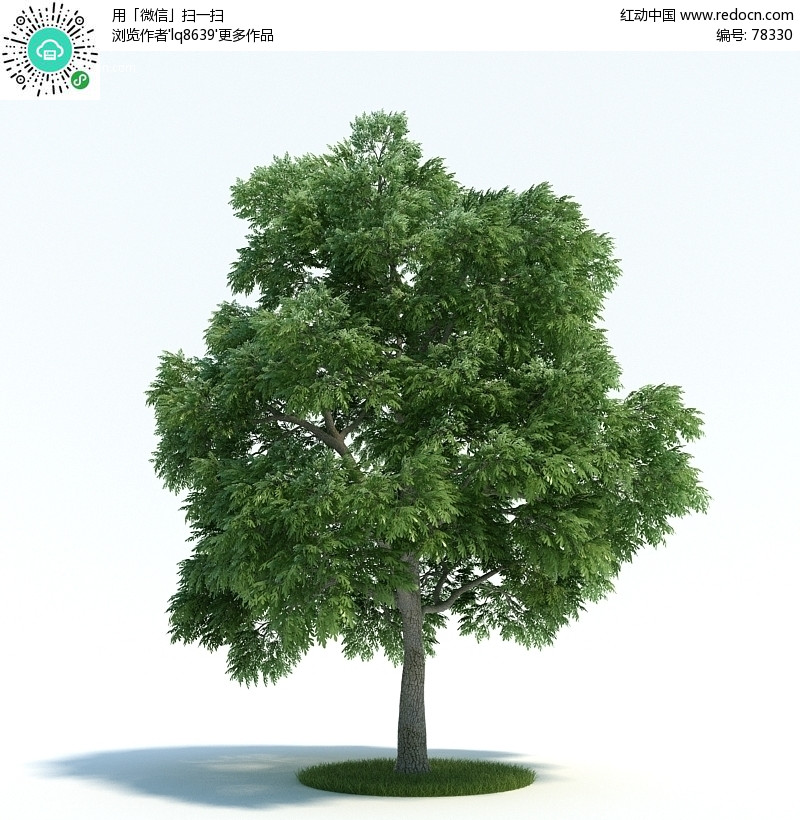 3dmax树模型 3d模型下载 3d模型素材库下载 3d模型高清图片