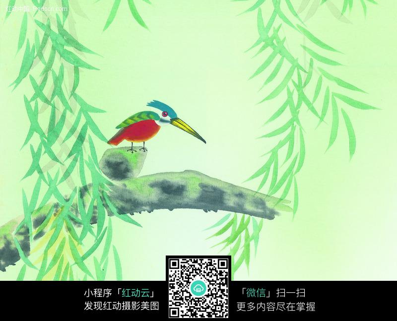柳树枝儿童画图片