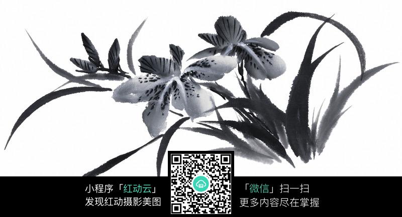 黑白水墨兰花