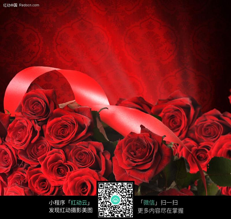 红色玫瑰花束图片图片(编号:151537)