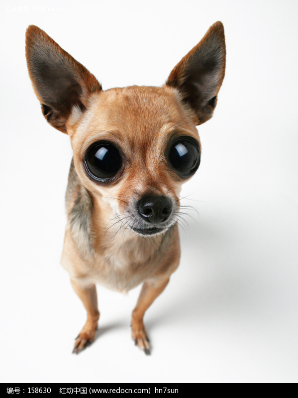 trendfrisuren damen 2015 frisuren haare nach hinten