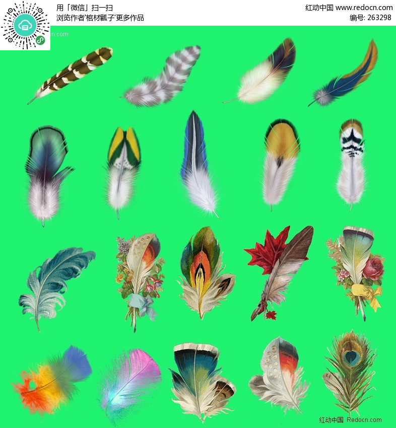 精美彩色羽毛图片大全(编号:263298)_动物_P
