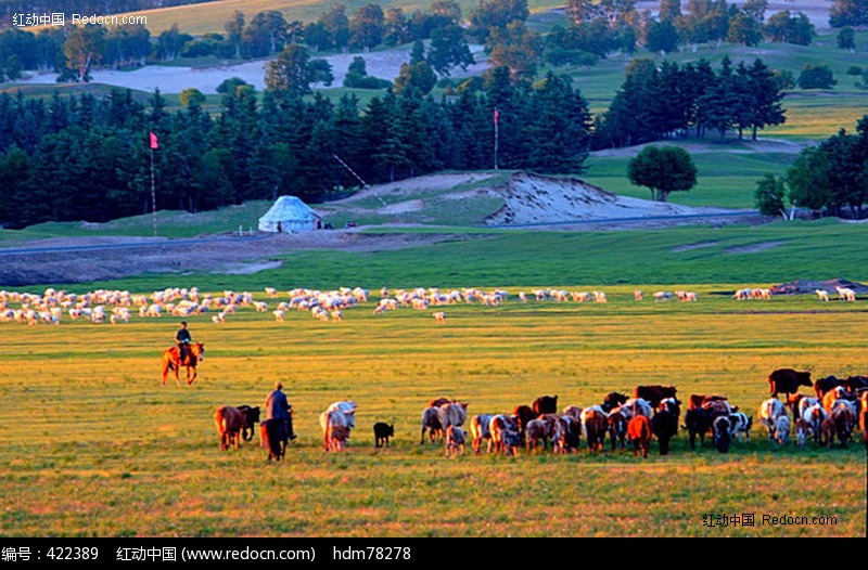 牧场上的 放牧人 图片(编号:422389)_自然风景_