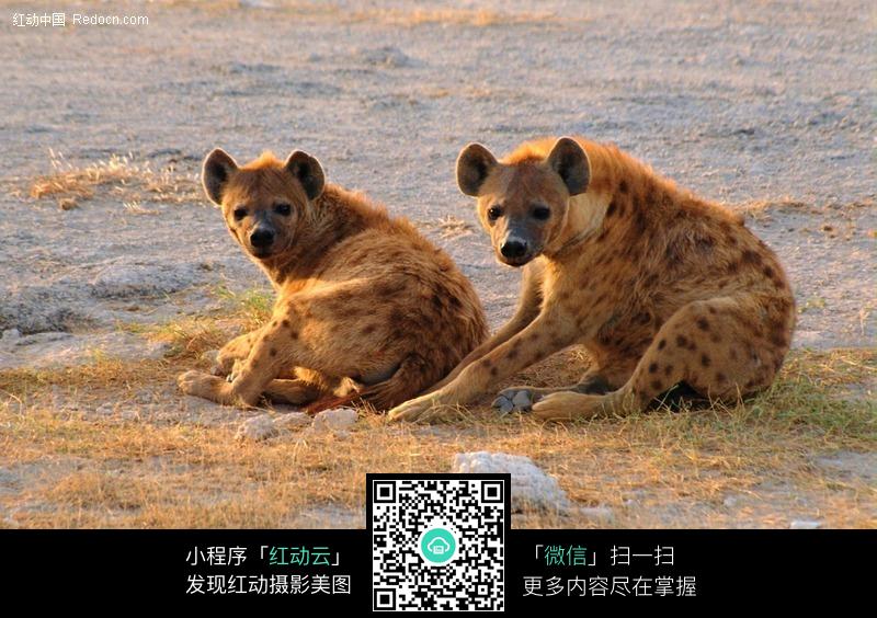 ... 炮_非洲男人大鸟图片_非洲黑鬼大战韩国女 - 新闻网