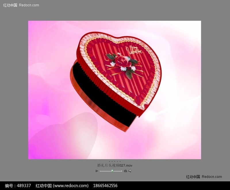 婚礼片头视频动态素材设计模板下载(编号:489