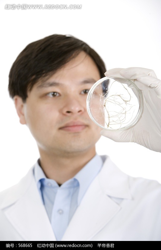 手拿培养皿的男科研人员图片(编号:568665)_医
