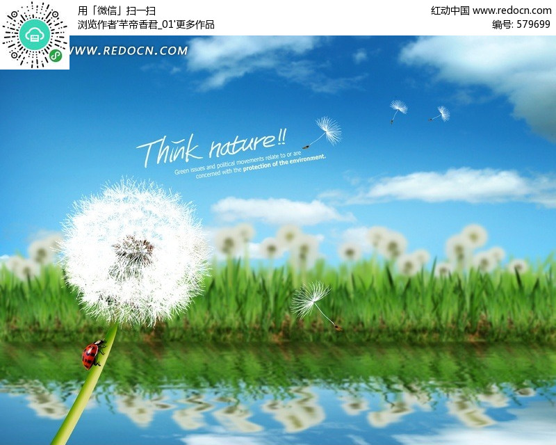 优美绿色自然蒲公英背景图-风景psd素材下载(