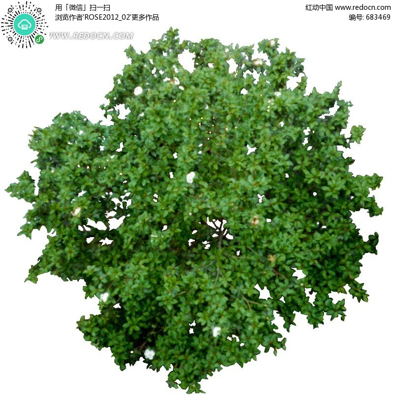 平面景观植物抠图素材(编号:683469)图片