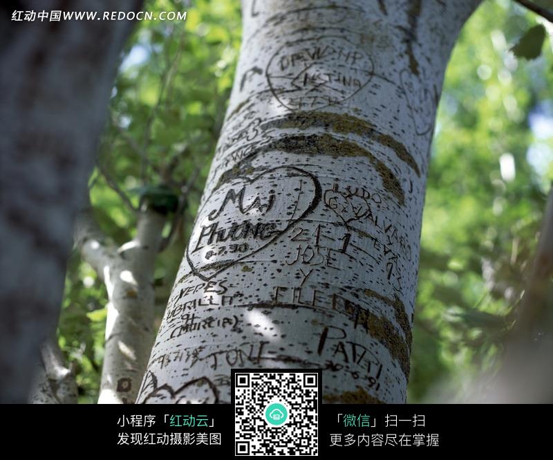 雕刻爱情的树干图片(编号:686215)_其他