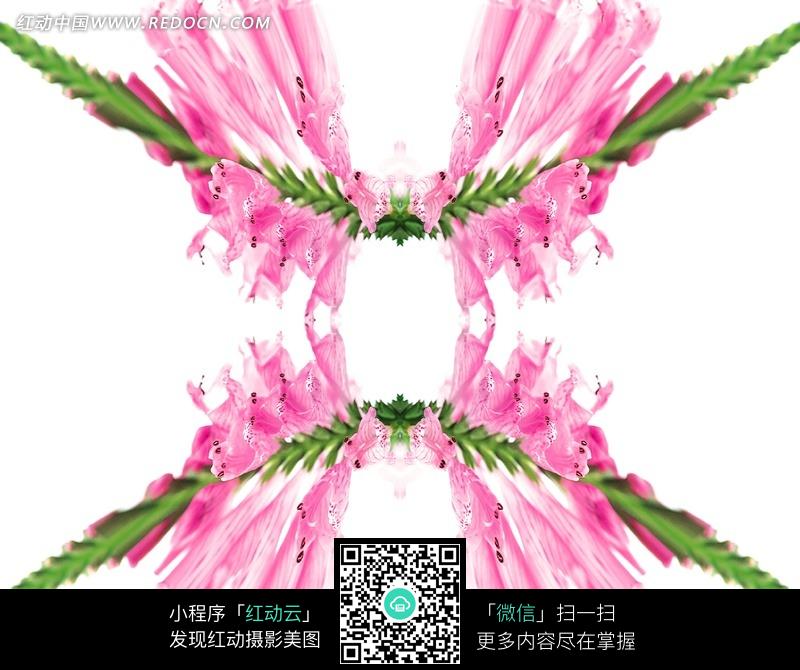 四串枚红色花朵构成的背景图片-花纹|花边|线条