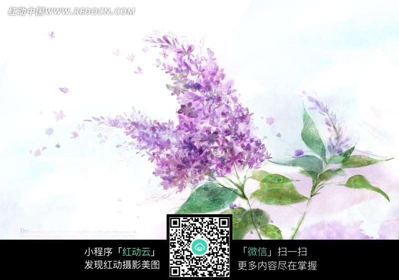 丁香最新地址图片大全: 丁香最新地址|小7论坛最新 ...