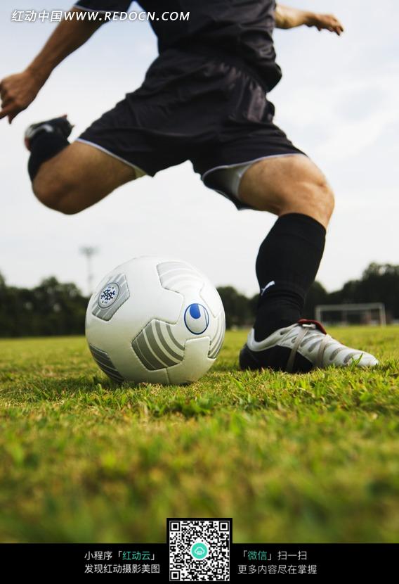 在草地上踢足球的黑衣男子图片(编号:742683)