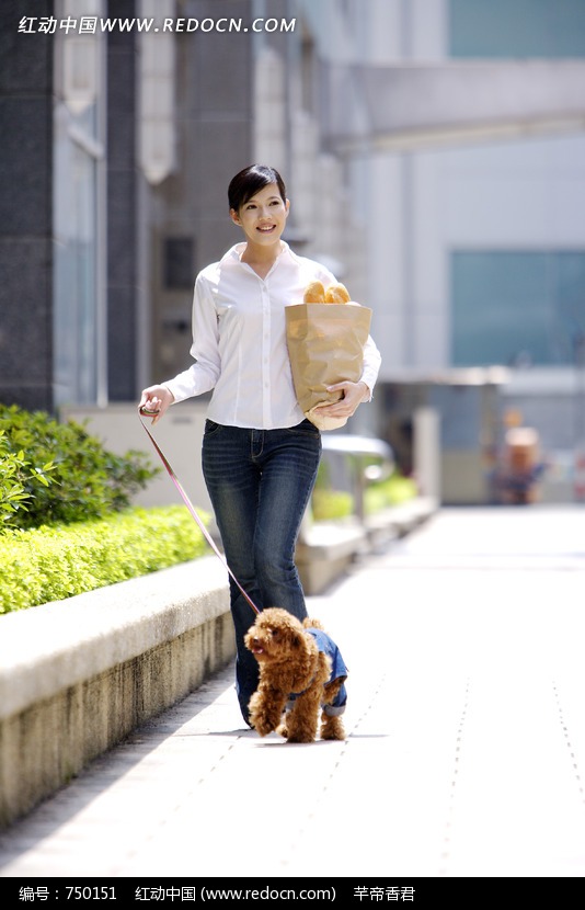 在石板路上遛狗的美女图片-人物图片素材|图片
