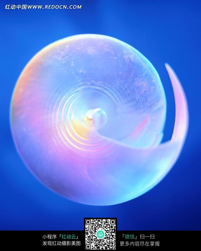 蜗牛壳_蜗牛壳碎了怎么办_饥荒蜗牛壳_亲亲影视自学 ...