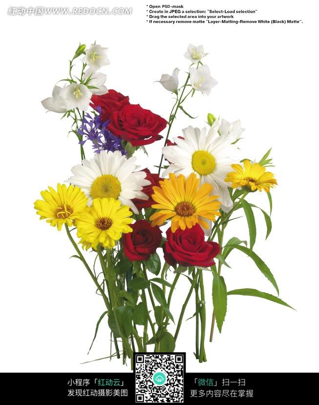 一簇美丽的花朵(带PSD Mask扣图遮罩)图片(编