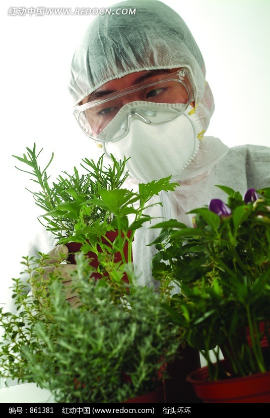 穿防护服的工作人员和盆栽图片(编号:861381)