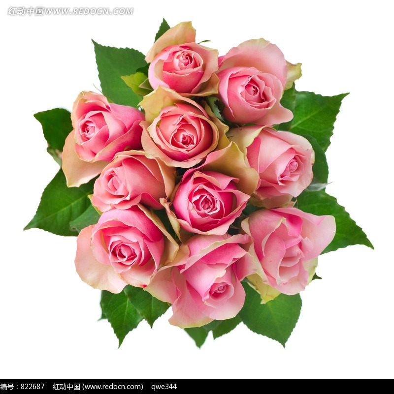 玫瑰花花束设计图片