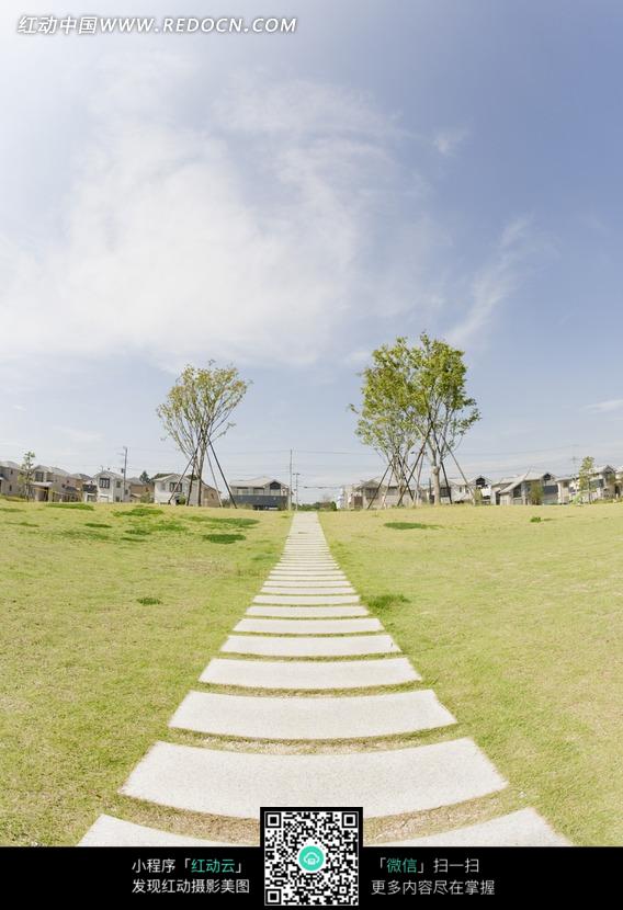 公园里的一条小路图片(编号:964231)