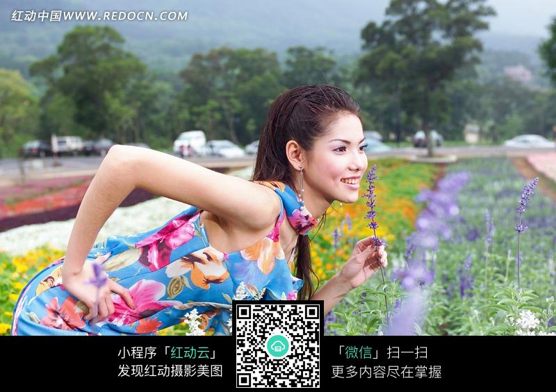 下载《花地里弯腰拿着花的美女》[二星图片]