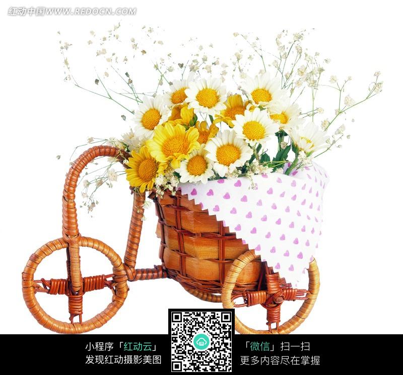 藤椅三轮车上的菊花图片-生活用品|日常生活图