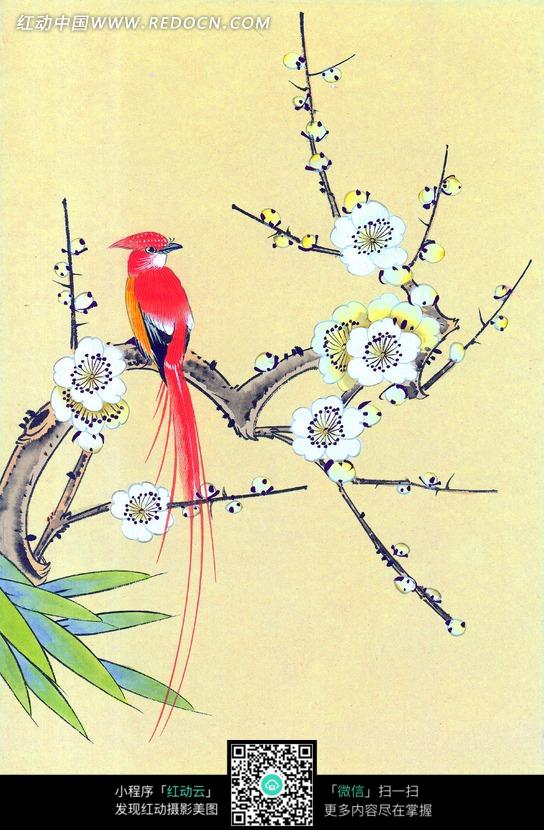 梅花工笔_李晓明工笔梅花画法_工笔牡丹_精彩推荐 ...