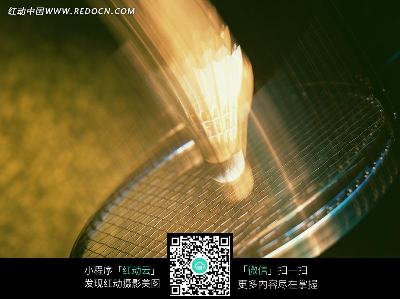 晃动的羽毛球和球拍图片(编号:1122837)_体育