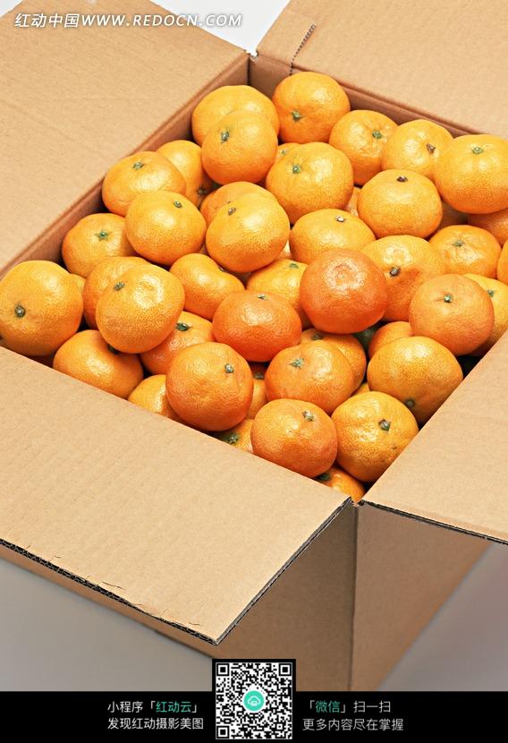 一箱金黄的橘子图片-生活用品|日常生活图片下载(编号:1145241)