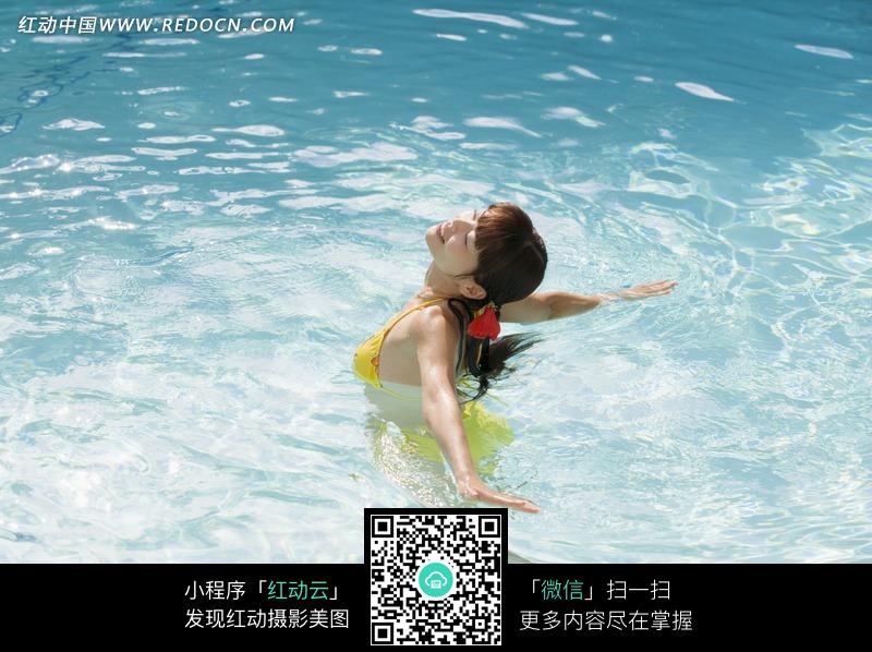 游泳池里的比基尼美女图片图片(编号:1149879)
