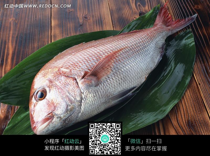 桌子上绿色叶子上的一条鱼图片(编号:1182759)