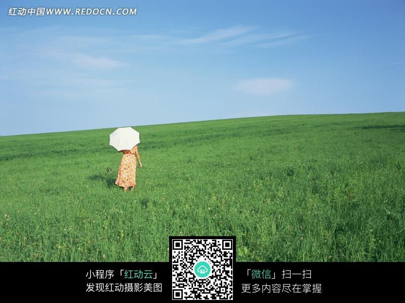 雨中漫步图片不打伞_雨中打伞背影图片雨中撑伞 ...