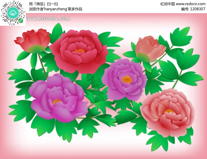 牡丹花图设计图片