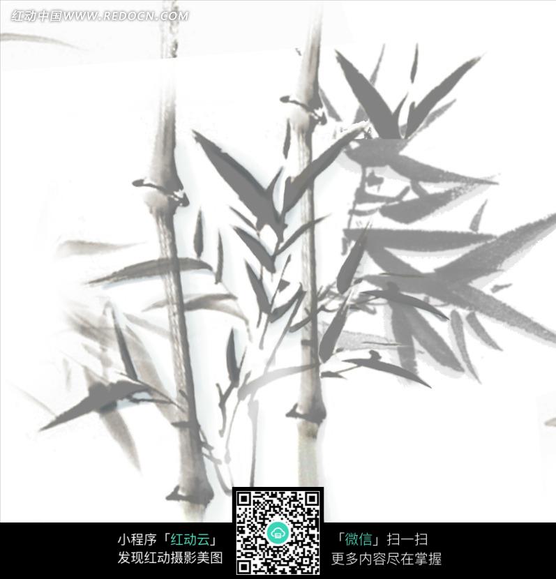写意画竹子图片-优酷图库图片