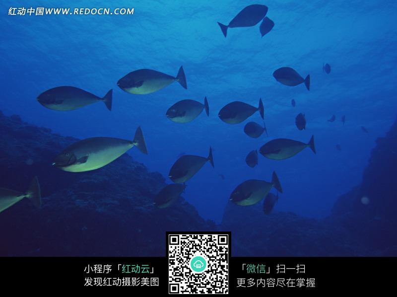 Redocn_2012052403430225.jpg