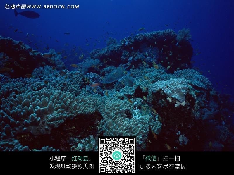 Redocn_2012052403501241.jpg