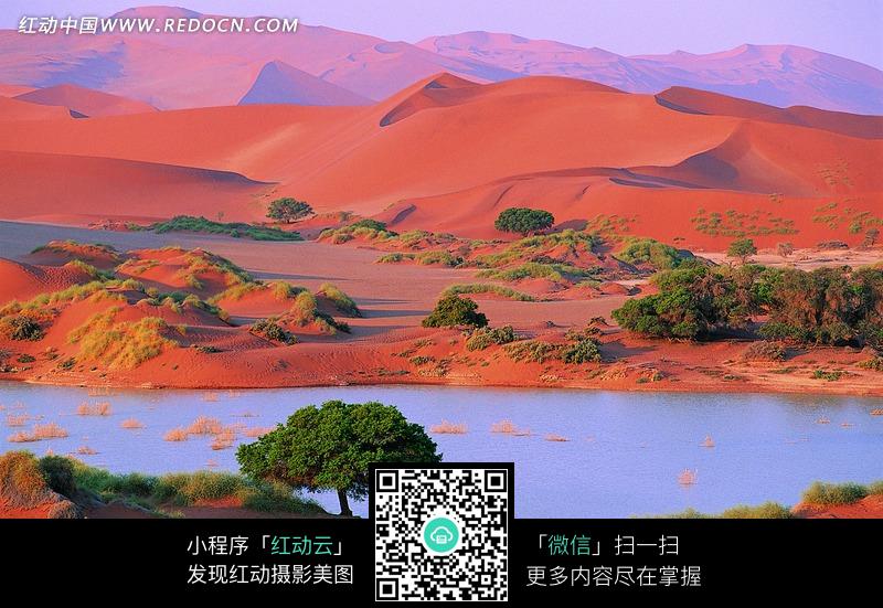 沙漠中的绿洲图片(编号:1343193)