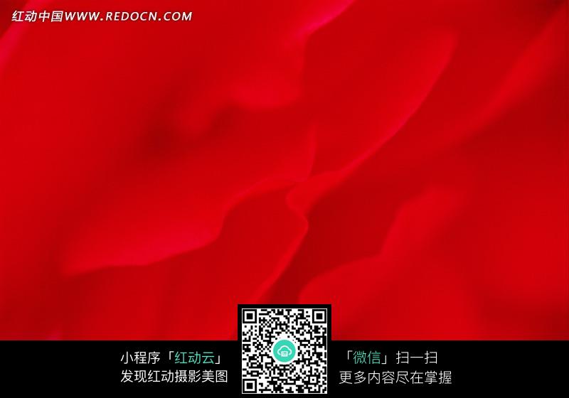 艳红的玫瑰花瓣图片(编号:1356927)_花草树木_生物世界_图片素材