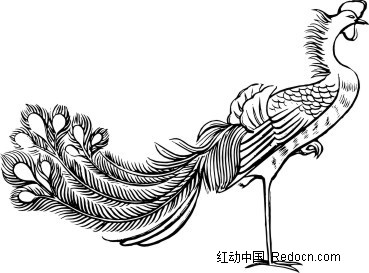 手绘站立的孔雀-矢量花纹|矢量花边素材下载(编号:)图片