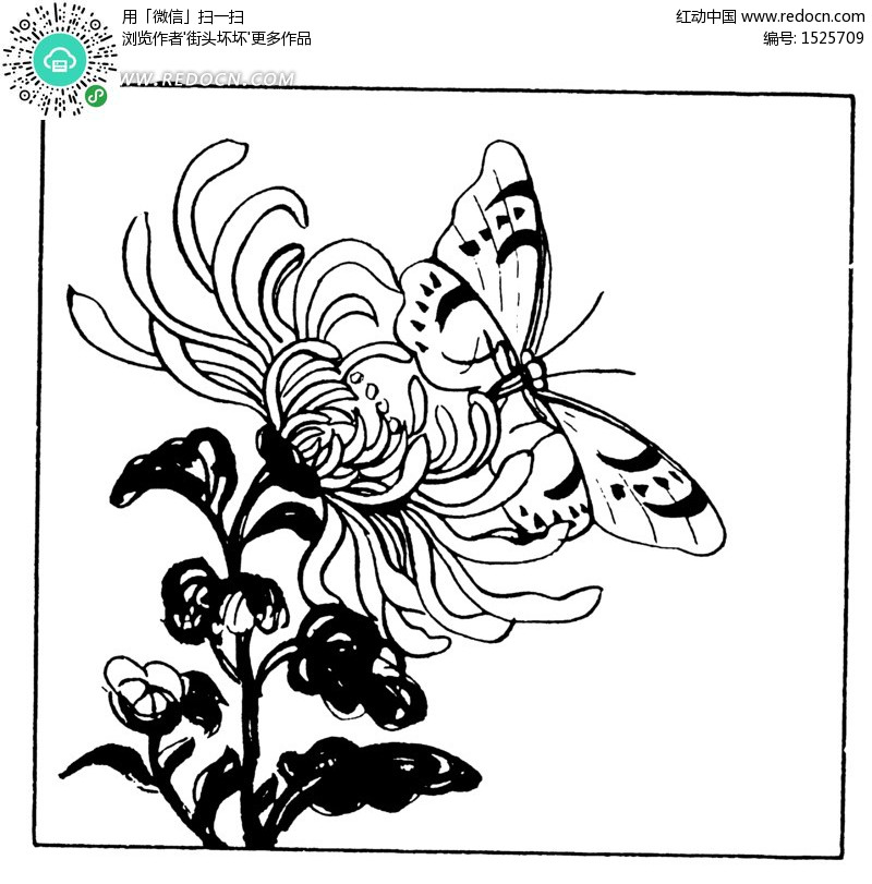 笔画采蜜简笔画,蜜蜂采蜜简笔画蝴蝶,简蚂蚁图片采蜜图,简笔画蜜蜂采张虎林酒蜜蜂图片