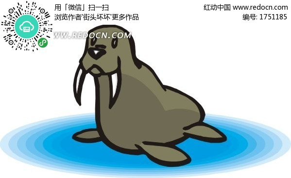 手绘长着长獠牙的海象